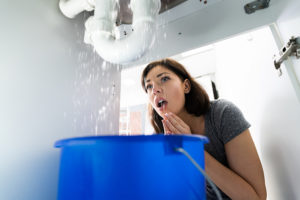 woman with leak under her sink